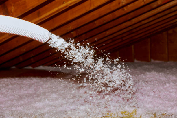 Best Insulation Inspection Services  in Berly, MO