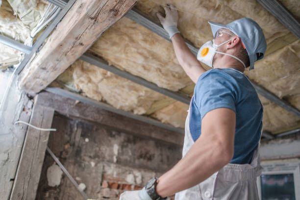 Best Insulation for New Construction  in Berly, MO