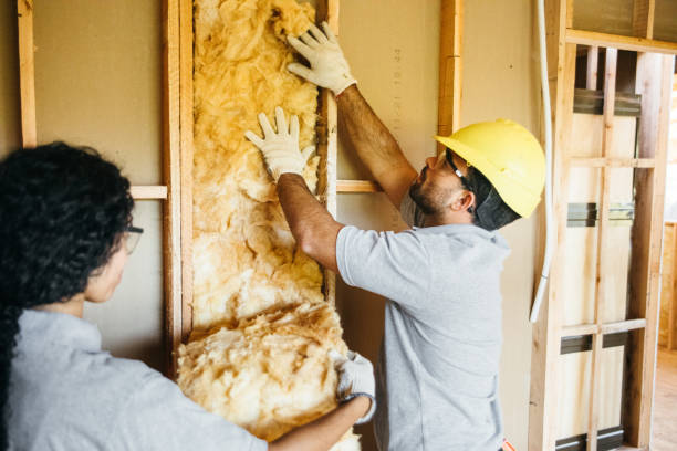 Insulation Repair Services in Moberly, MO