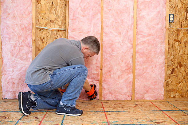 Best Insulation Inspection Services  in Berly, MO