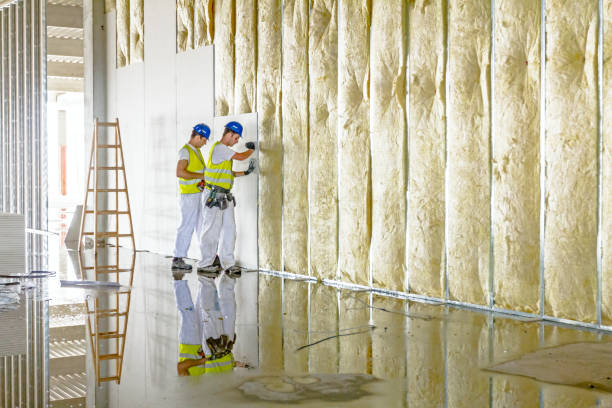 Best Best Insulation Companies  in Berly, MO